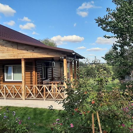 Гостьовий Дім На Герцена Guest Hous On Gertsena Hotel Novhorod-Siverskyi Værelse billede